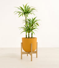 Load image into Gallery viewer, Sunset Orange stand:bamboo
