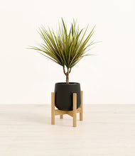Charger l'image dans la galerie, Black stand:light
