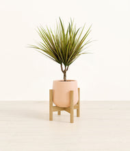 Charger l'image dans la galerie, Gentle Pink stand:light
