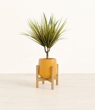Charger l'image dans la galerie, Mustard stand:light
