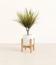Charger l'image dans la galerie, White stand:light
