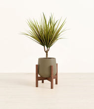 Charger l'image dans la galerie, Olive stand:dark
