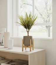 Charger l'image dans la galerie, Olive stand:light
