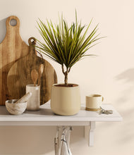 Charger l'image dans la galerie, Almond Green
