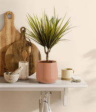 Charger l'image dans la galerie, Calm Rose
