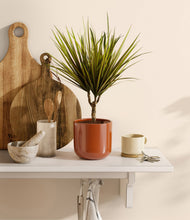 Charger l'image dans la galerie, Glossy Red
