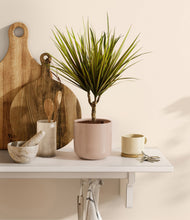 Charger l'image dans la galerie, Sandy Pink
