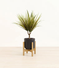 Charger l'image dans la galerie, Stone Black stand:light
