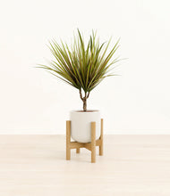 Charger l'image dans la galerie, Cotton White stand:light
