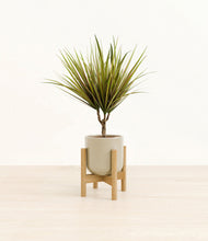 Charger l'image dans la galerie, Sage Green stand:light
