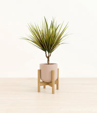 Charger l'image dans la galerie, Sandy Pink stand:light

