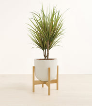 Load image into Gallery viewer, Natural Bamboo stand:bamboo
