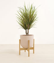 Load image into Gallery viewer, Sandy Pink stand:bamboo
