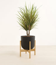Load image into Gallery viewer, Stone Black stand:bamboo
