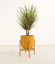 Load image into Gallery viewer, Sunset Orange stand:bamboo

