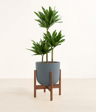 Load image into Gallery viewer, Iron Gray stand:walnut
