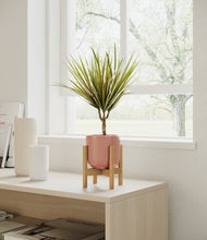 Charger l'image dans la galerie, Striped Rose Pink stand:light
