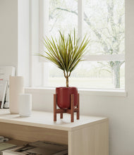 Charger l'image dans la galerie, Striped Cherry Red stand:dark
