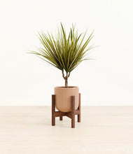 Charger l'image dans la galerie, Striped Peach Pink stand:dark
