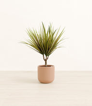 Charger l'image dans la galerie, Striped Peach Pink
