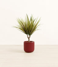 Charger l'image dans la galerie, Striped Cherry Red
