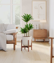 Load image into Gallery viewer, Natural Bamboo stand:walnut
