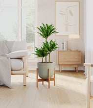 Load image into Gallery viewer, Sage Green stand:bamboo
