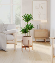 Load image into Gallery viewer, Sandy Pink stand:bamboo
