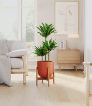 Load image into Gallery viewer, Earth Red stand:bamboo
