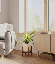 Lade das Bild in den Galerie-Viewer, Almond Green stand:walnut
