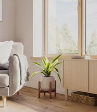 Lade das Bild in den Galerie-Viewer, Eternal Gray stand:bamboo
