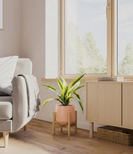 Lade das Bild in den Galerie-Viewer, Calm Rose stand:bamboo
