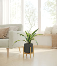 Lade das Bild in den Galerie-Viewer, Dark Olive stand:bamboo
