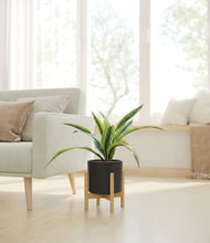 Lade das Bild in den Galerie-Viewer, Black stand:bamboo
