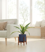 Lade das Bild in den Galerie-Viewer, Deep Navy stand:walnut

