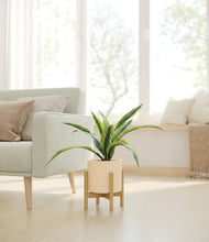 Lade das Bild in den Galerie-Viewer, Cream stand:bamboo
