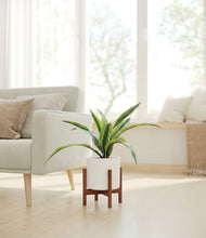 Lade das Bild in den Galerie-Viewer, White stand:walnut
