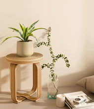 Lade das Bild in den Galerie-Viewer, Almond Green
