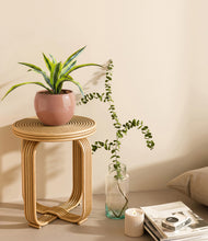 Lade das Bild in den Galerie-Viewer, Calm Rose
