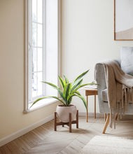 Lade das Bild in den Galerie-Viewer, Desert Brown stand:walnut
