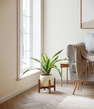 Lade das Bild in den Galerie-Viewer, Shiny EggWhite stand:walnut
