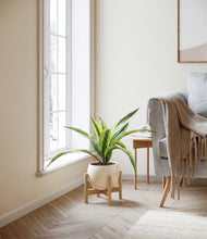 Lade das Bild in den Galerie-Viewer, Shiny EggWhite stand:bamboo
