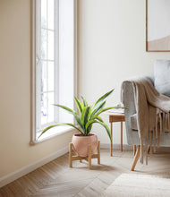 Lade das Bild in den Galerie-Viewer, Calm Rose stand:bamboo
