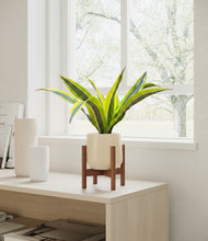 Load image into Gallery viewer, Almond Green stand:walnut
