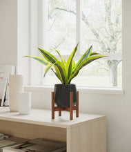 Load image into Gallery viewer, Black stand:walnut
