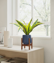 Load image into Gallery viewer, Deep Navy stand:walnut
