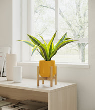 Load image into Gallery viewer, Mustard stand:bamboo
