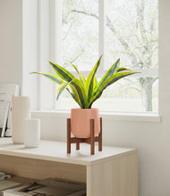 Load image into Gallery viewer, Calm Rose stand:walnut
