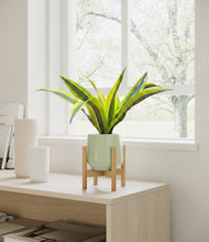 Load image into Gallery viewer, Turquoise stand:bamboo
