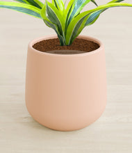 Load image into Gallery viewer, Gentle Pink stand:all
